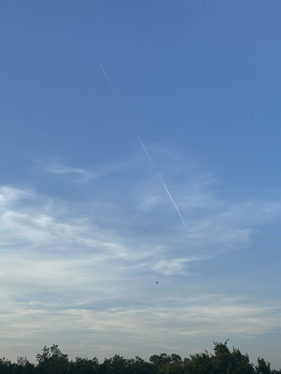 MOCleanSkies's tweet image. This pilot is-
1-drunk
2-headed to the moon
3-managing the amount of sun I’m allotted