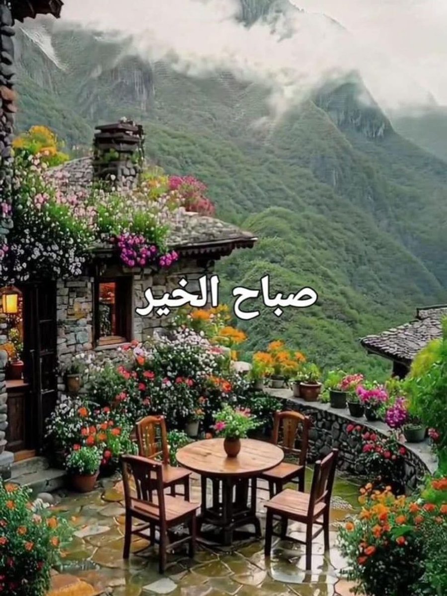 علي بن مسعود المعشني (@alibinmasoad) on Twitter photo 