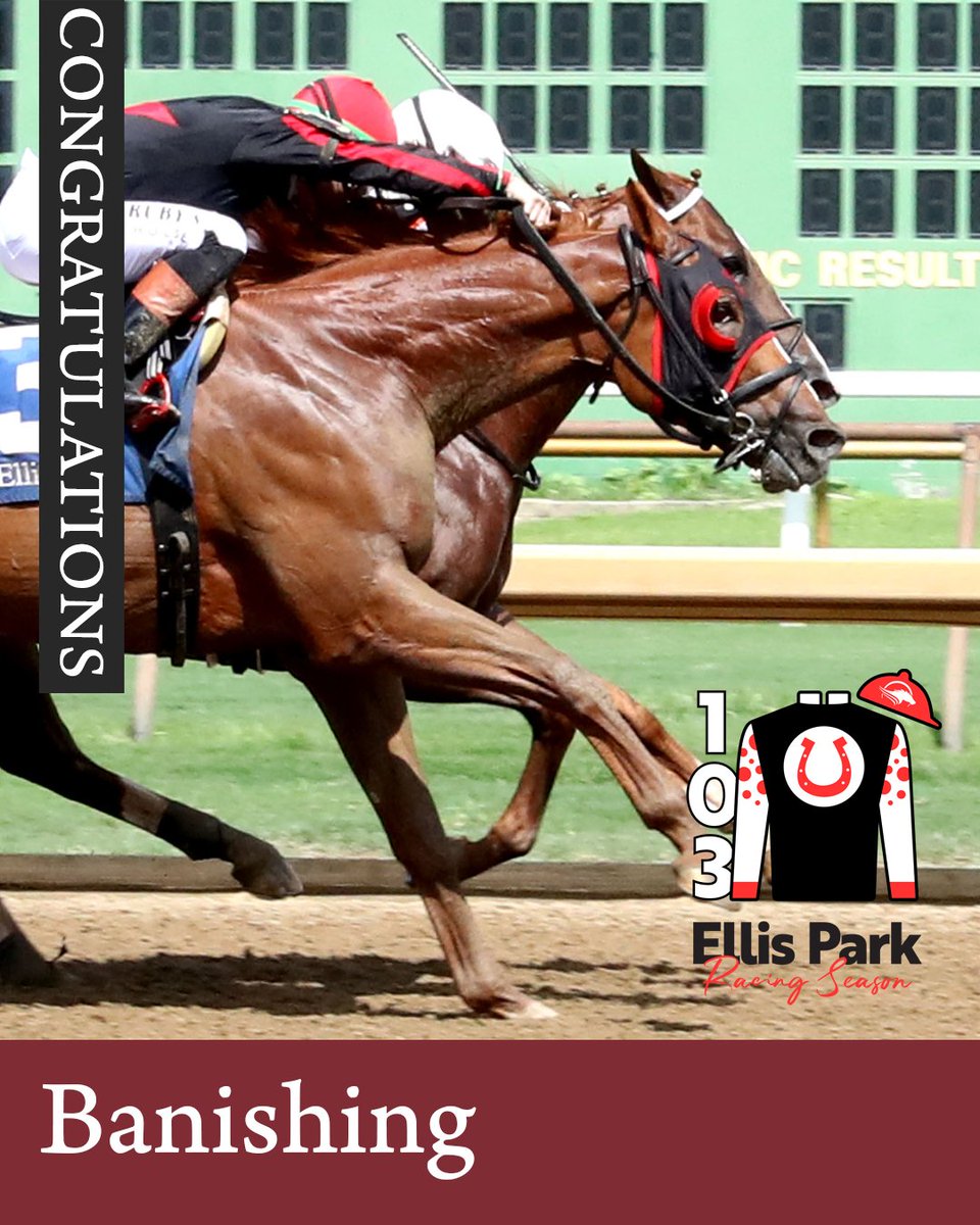 EllisParkRacing's tweet image. 🏆 Congrats to Banishing for an epic win in the 2025 Jeff Hall Memorial Stakes at @EllisParkRacing! @Tyler_Gaff in the saddle for trainer David Jacobson! #HorseRacing #JeffHallMemorial🎉
📸 @coadymediaUSA