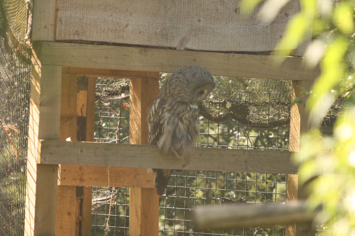 ๐ (@ostonestreet) on Twitter photo #picoftheday Tawny Owl Highlands
<a href="/ladycultreboot/">Freyja</a> <a href="/PennineThe/">The Pennine Painter</a> <a href="/raiphsays/">Oor Red Raiph ๐ด๓ ง๓ ข๓ ณ๓ ฃ๓ ด๓ ฟ๐ฎ๐ช๐ฉ๐ช</a> <a href="/staithesartist/">Sue Nichol</a> <a href="/MarySummer1966/">Mary Summer</a> <a href="/pilaraymara/">Pilar Fernandez</a> <a href="/GREIGEYESBIKER1/">GREIGE๐ด๓ ง๓ ข๓ ณ๓ ฃ๓ ด๓ ฟ๐๐</a> <a href="/moleatthedoor/">Swivel-eyed mole at the counter</a> <a href="/mrs_counter/">Caz Bailey๐๏ธ๐๐ค๐</a> <a href="/lorri1962/">Supergran Lorri Independence for Scotland</a> <a href="/Catrionareids/">Catrรฌona Reid</a> <a href="/JohnDowson66/">Adult Human Male of Steel ๐ฅ ๐๐ค๐</a> <a href="/colz261/">Right Hon .Lady Colz of Aberdeen ๐ด๓ ง๓ ข๓ ณ๓ ฃ๓ ด๓ ฟ</a> <a href="/ArgyllSeaGlass/">๐ด๓ ง๓ ข๓ ณ๓ ฃ๓ ด๓ ฟMike - ArgyllSeaglass ๐ด๓ ง๓ ข๓ ณ๓ ฃ๓ ด๓ ฟ</a> <a href="/weestie97/">Highland Extremist CyberNat</a> <a href="/cee4cat/">Simone</a> <a href="/defiaye/">Brave</a> <a href="/Becca3Artach/">Becca Thorne</a> <a href="/Heeev_/">Heather</a> #picoftheday Tawny Owl Highlands
<a href="/ladycultreboot/">Freyja</a> <a href="/PennineThe/">The Pennine Painter</a> <a href="/raiphsays/">Oor Red Raiph ๐ด๓ ง๓ ข๓ ณ๓ ฃ๓ ด๓ ฟ๐ฎ๐ช๐ฉ๐ช</a> <a href="/staithesartist/">Sue Nichol</a> <a href="/MarySummer1966/">Mary Summer</a> <a href="/pilaraymara/">Pilar Fernandez</a> <a href="/GREIGEYESBIKER1/">GREIGE๐ด๓ ง๓ ข๓ ณ๓ ฃ๓ ด๓ ฟ๐๐</a> <a href="/moleatthedoor/">Swivel-eyed mole at the counter</a> <a href="/mrs_counter/">Caz Bailey๐๏ธ๐๐ค๐</a> <a href="/lorri1962/">Supergran Lorri Independence for Scotland</a> <a href="/Catrionareids/">Catrรฌona Reid</a> <a href="/JohnDowson66/">Adult Human Male of Steel ๐ฅ ๐๐ค๐</a> <a href="/colz261/">Right Hon .Lady Colz of Aberdeen ๐ด๓ ง๓ ข๓ ณ๓ ฃ๓ ด๓ ฟ</a> <a href="/ArgyllSeaGlass/">๐ด๓ ง๓ ข๓ ณ๓ ฃ๓ ด๓ ฟMike - ArgyllSeaglass ๐ด๓ ง๓ ข๓ ณ๓ ฃ๓ ด๓ ฟ</a> <a href="/weestie97/">Highland Extremist CyberNat</a> <a href="/cee4cat/">Simone</a> <a href="/defiaye/">Brave</a> <a href="/Becca3Artach/">Becca Thorne</a> <a href="/Heeev_/">Heather</a>
