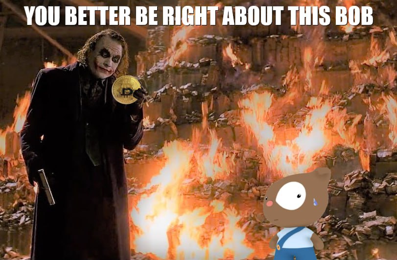 BitcoinBobonSOL's tweet image. I sure was