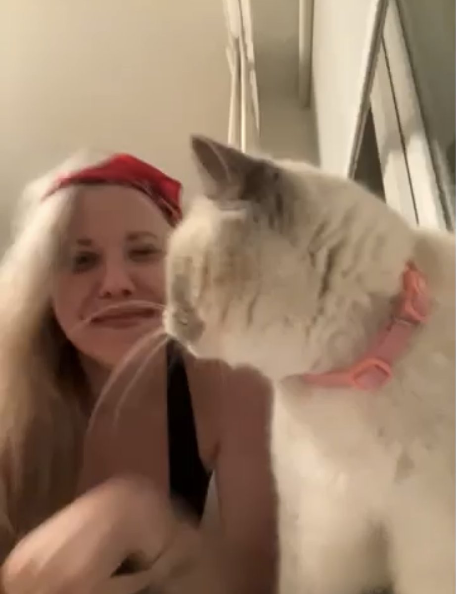 Good morning, and let's get some cardio in. Brutality, animality, fatality. Superb. Fight! Excellent! Shitting on new MK? Come fight me. 🐉🔥💗 Check us later today on <a href="/clif89lee/">clifton3D</a>'s show as I rant about it, again, and again... 
youtu.be/BxsNnUAyfd4?si…