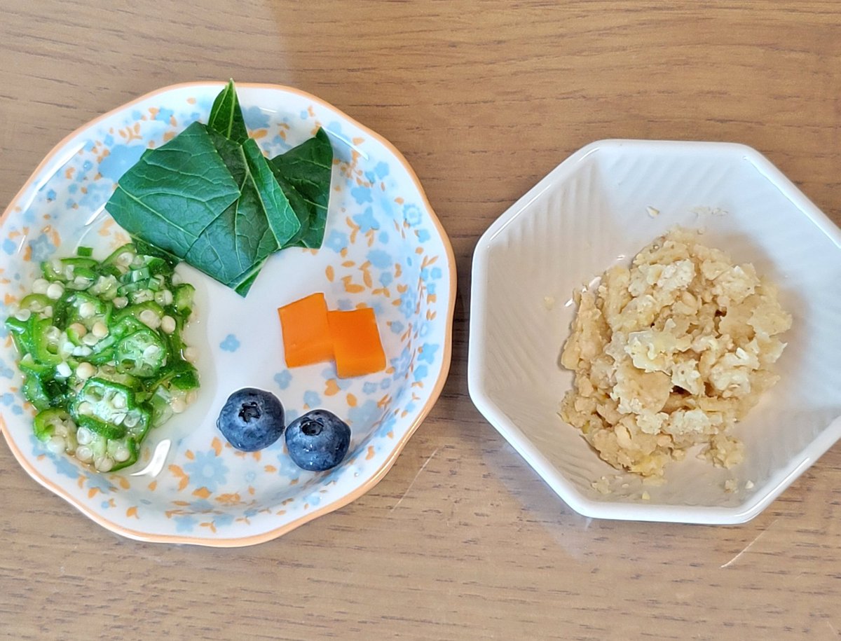 masuderaAyako's tweet image. ぽっぽもズーメッド気に入ったようで食欲モリモリでした😋🍴💕
でもブルーベリーはあまり好きじゃないようで一粒しか食べませんでした😂
みんな食の好みがあるのよね(笑)😂