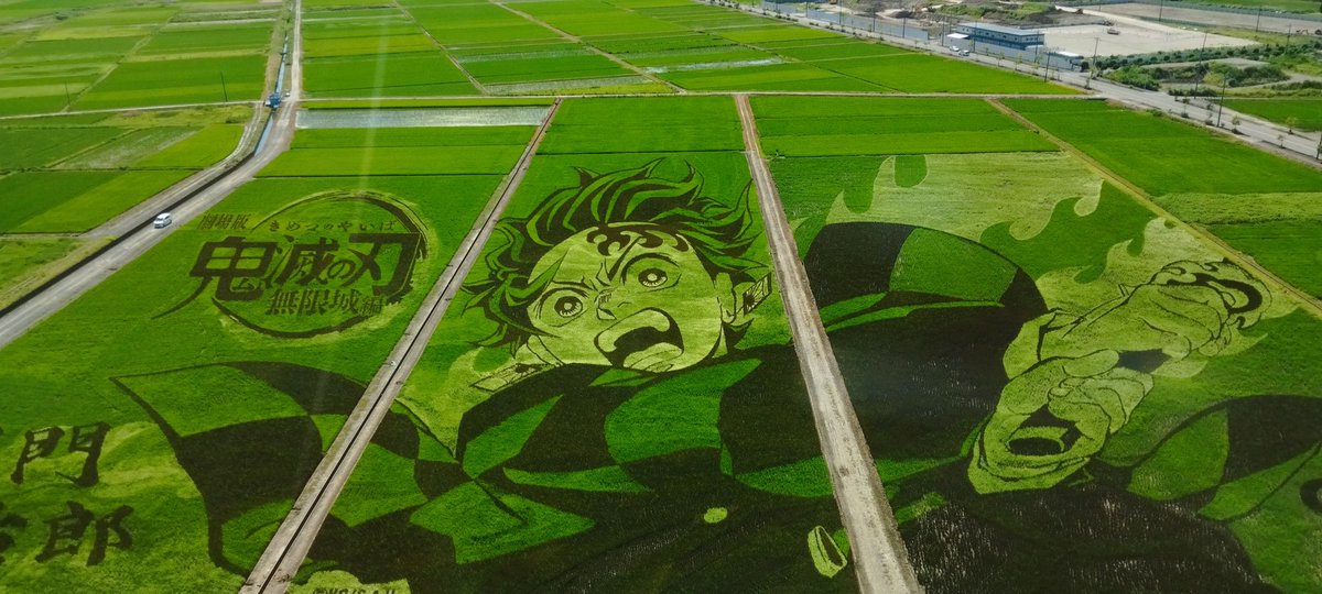 田んぼアート🖼️