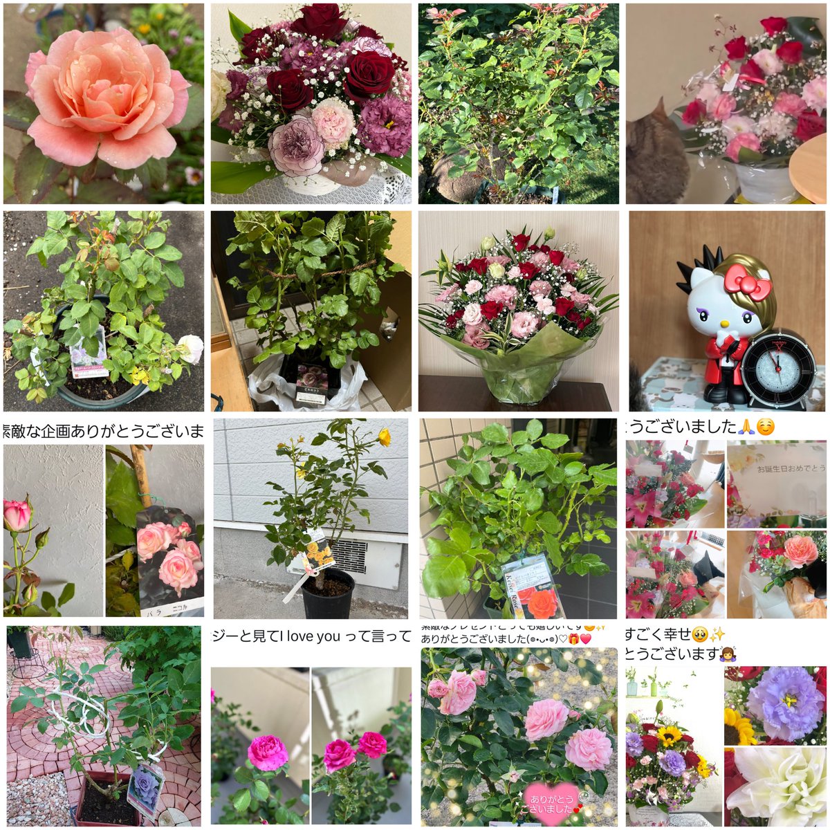 kft_qt's tweet image. 皆さま
こんにちは(*^▽^)ﾉ
朝、現場に行ったのですが
暑い🥵ので
帰って来ました〜
祭日だしね！😁🤭

……で☝️
お時間掛かってしまいましたが
- ̀͏̗🎁 ́͏̖-企画の当選者さんの元に
🧾📦お届け終わりました😊

おめでとうございます🎉🥳👏
ありがとうございましたm(_ _)m

 #プレゼント企画