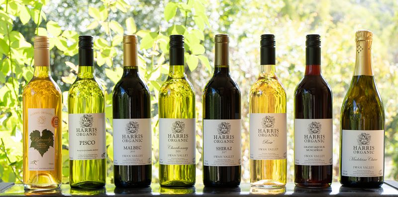 HarrisOrganic's tweet photo. Organic Wine - July Specials - Cellar Door Sale - https://t.co/2A914kUpcU https://t.co/o3RYwKcsBg
