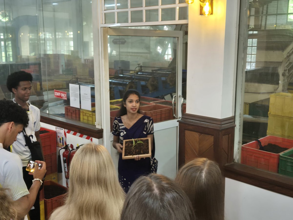 BlaiseOutdoor's tweet image. This morning we visited the New Giragama Tea Factory to see how tea is produced before enjoying a refreshing cup of tea made in the factory. Now we are off towards Kithugala for some white water rafting.