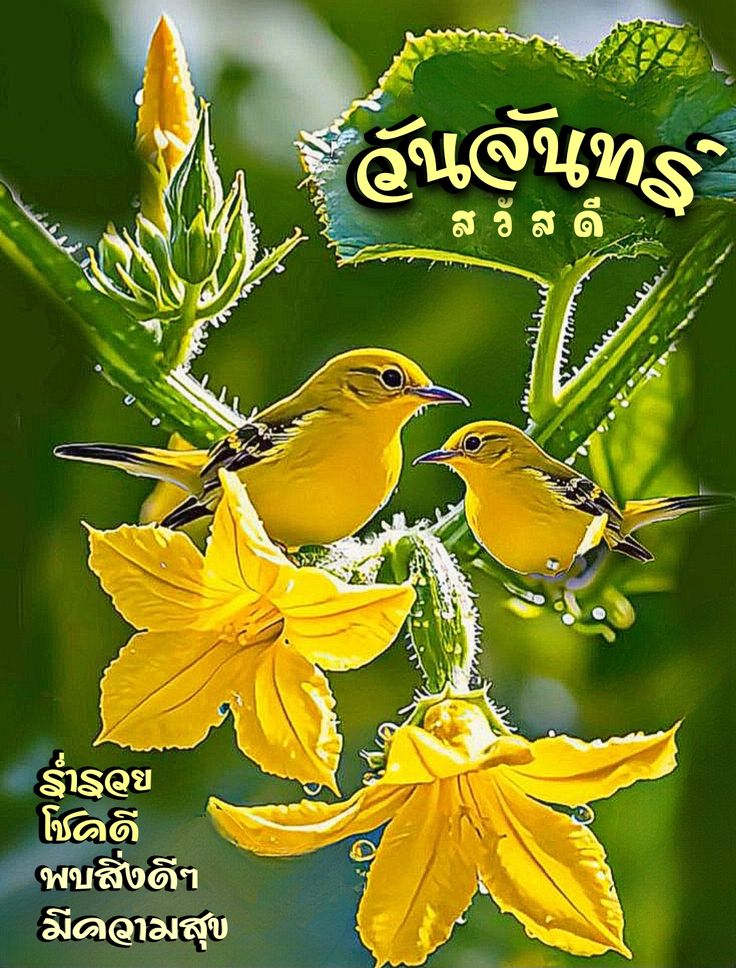 Niran Thipdararat tweet media