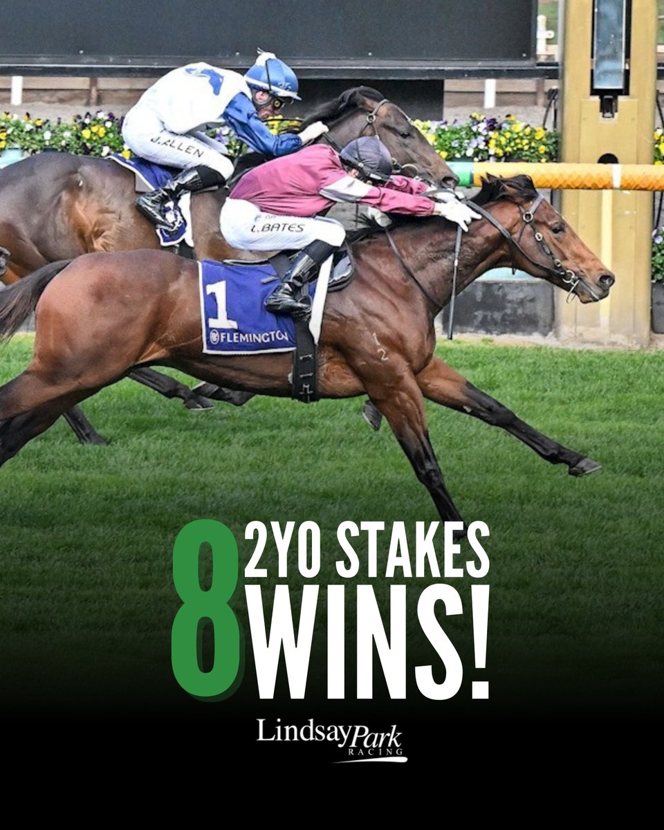 It's been a stellar season for our 2YOs so far!
⭐️ 20 individual winners!
⭐️ 30 wins!
⭐️ 8 stakes wins!
Delivering 2YO success for our owners is something we strive for with our proven juvenile development program. The key elements are:
🎓 Quality early education from the elite