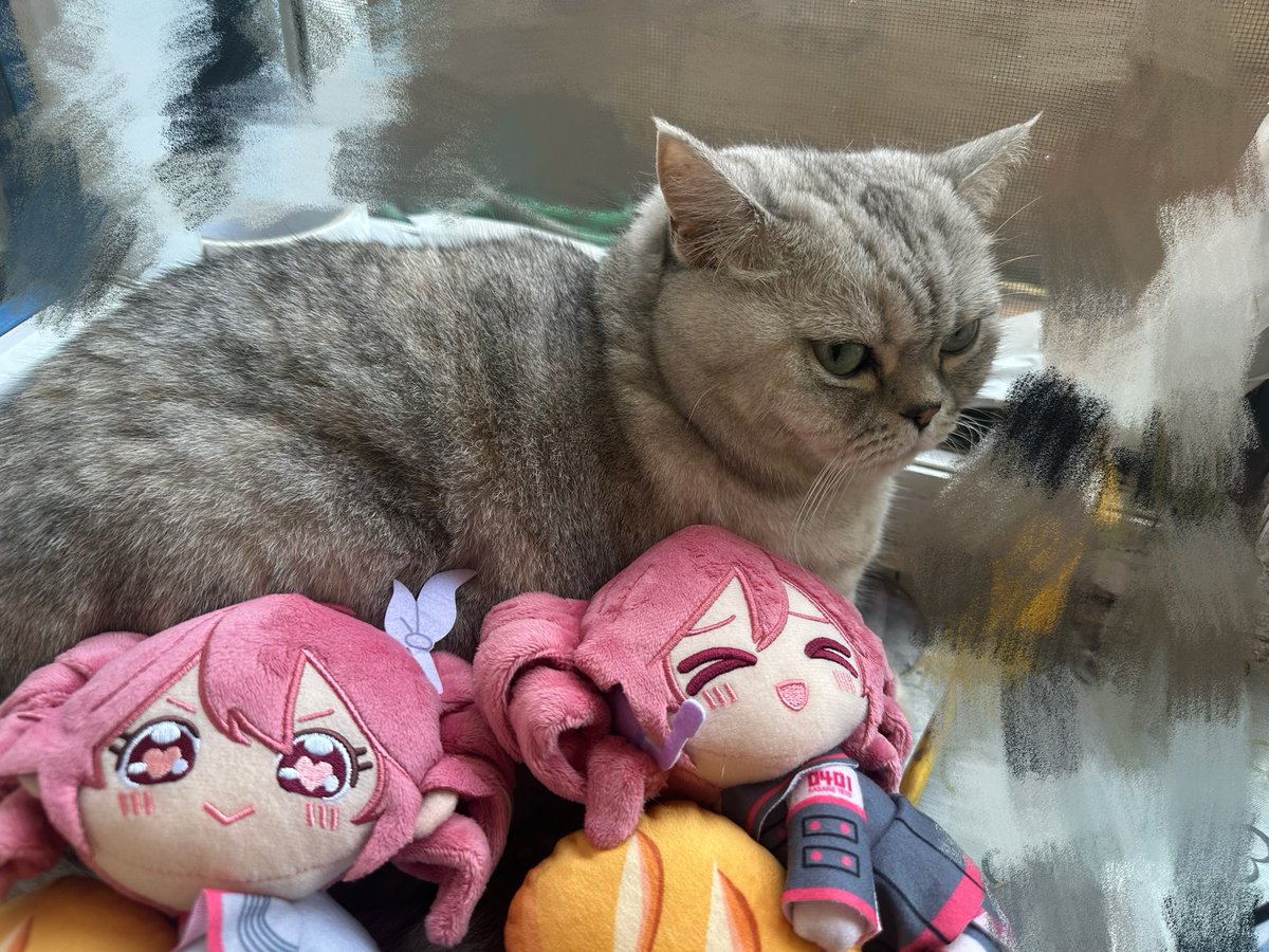 Azhao0127_'s tweet photo. https://t.co/EubLIHZYvT
