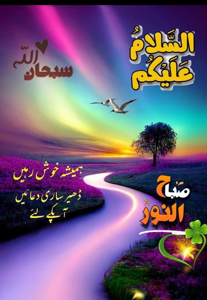 ،💚❤️ نواب زادی ❤️💚 tweet media