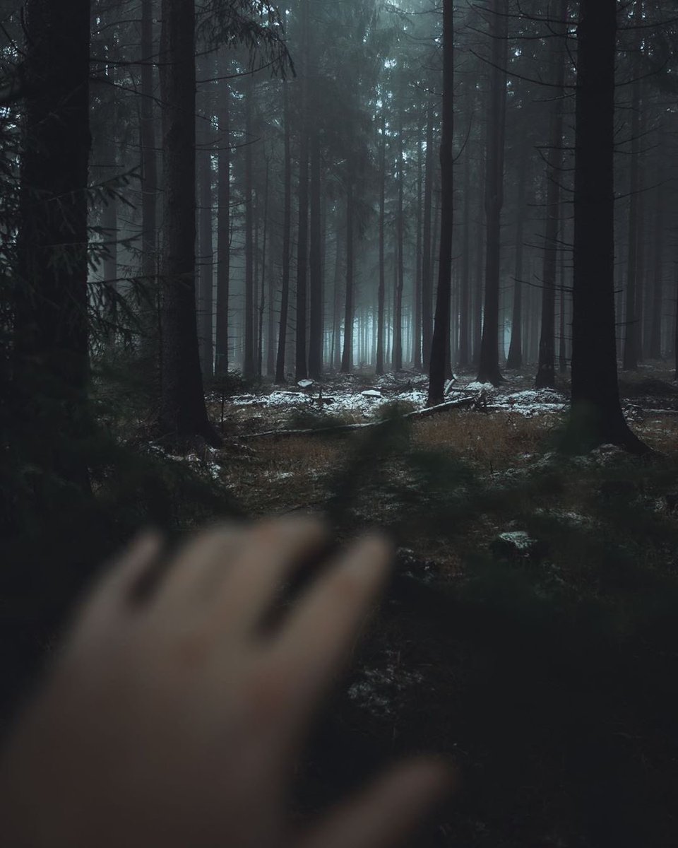 ROGUESTILINSKI's tweet photo. ‍
       
 ‍ https://t.co/FyOZMUCgHR