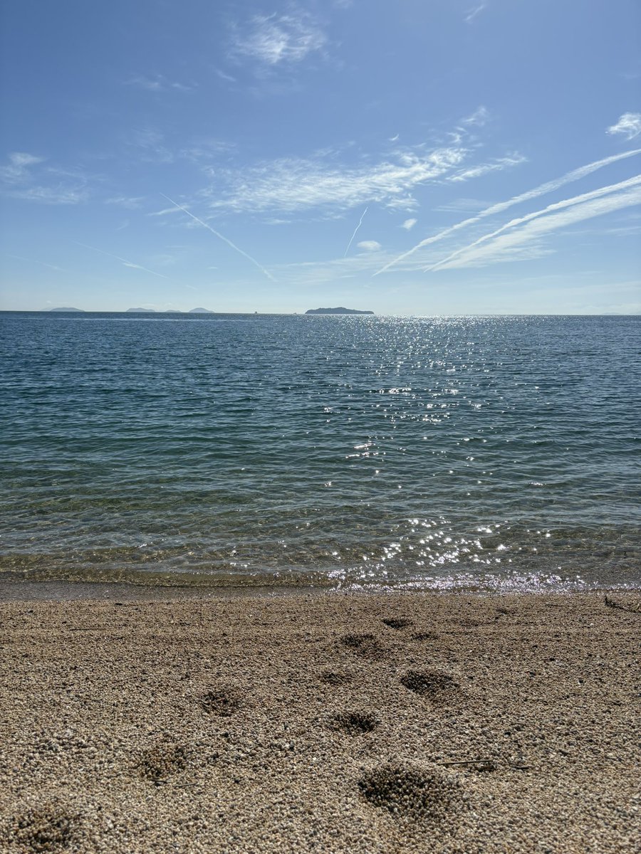 いきものつづり tweet media