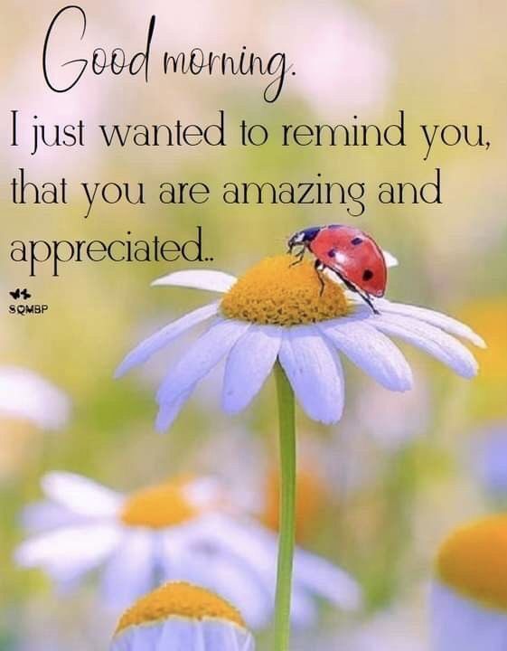 OhoraEmily's tweet image. Good morning me beautiful darlings ☕️☀️ happy Monday 🥰 wishing you all a fantastic start to the new week ahead 🤗 sending lots of hugs..blessings.. love &amp;amp; best wishes. Take care ❤️🫂🙌💐🐞🌄🫶💛🪷🩷☮️🌻 xoxo