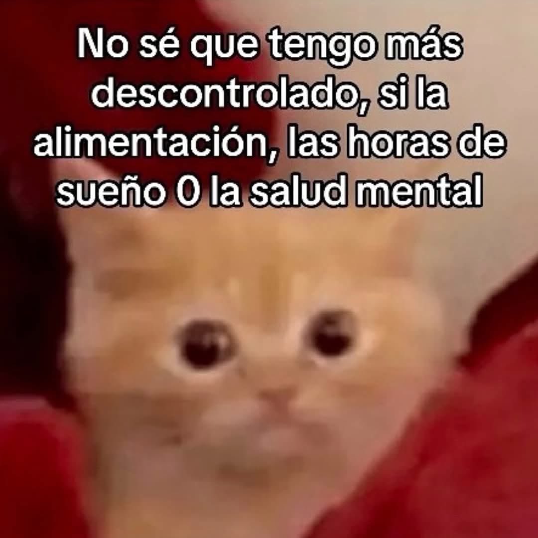 GabsNoMeArroben's tweet image. Yo creo que todoβ¦π€£ pero controlarΓ© primero las horas de sueΓ±o βοΈ