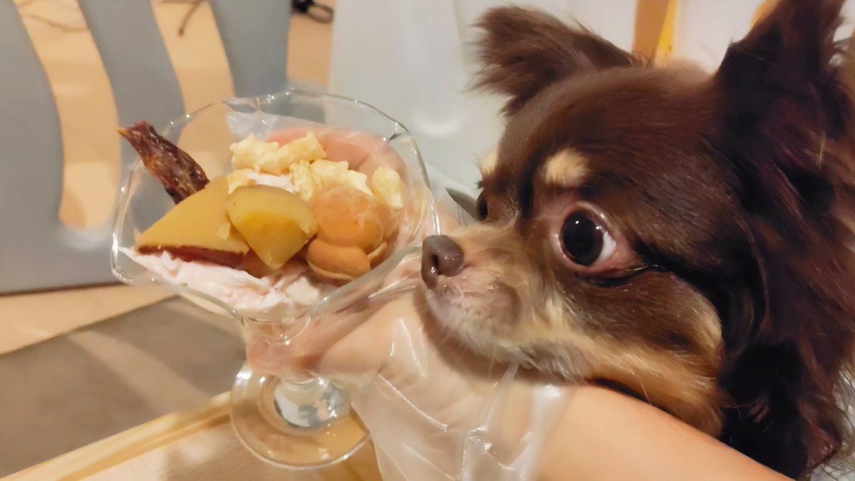 wanwankanato's tweet image. 皆様 こんにちは☺️
いつも本当に
ありがとうございます💐
暑い日が続いていますので
お身体に気を付けて
過ごされて下さいね🤗
今回は
二つの大事なお知らせの
ポストになります😌✨
【🌸お知らせ1】
YouTubeで
7月26日土の21時30分に
久しぶりの動画を投稿
させて頂きます✨…