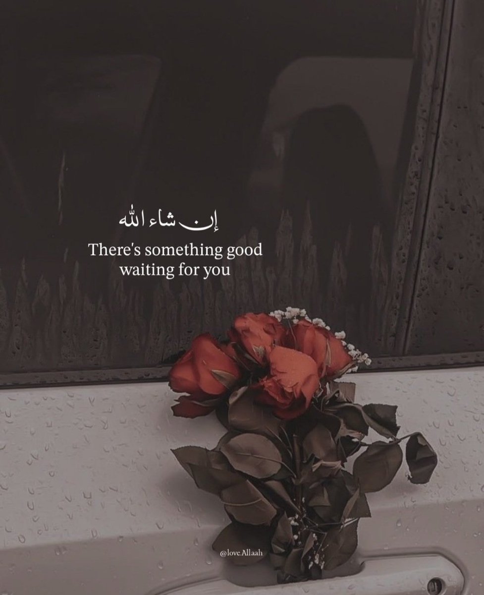 RoShZiMu's tweet image. InShaAllah