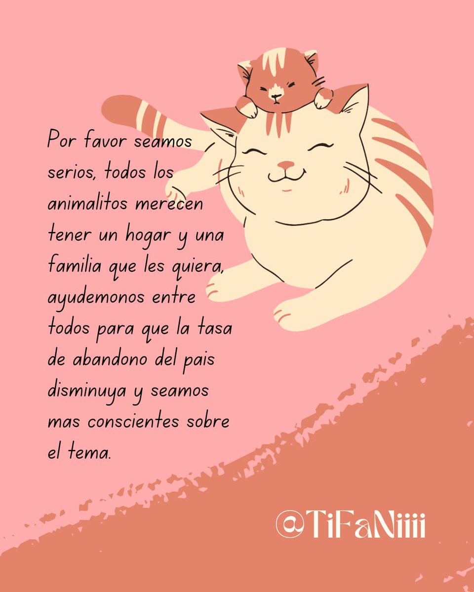 Stephie Bogado Tervit #80547 tweet media