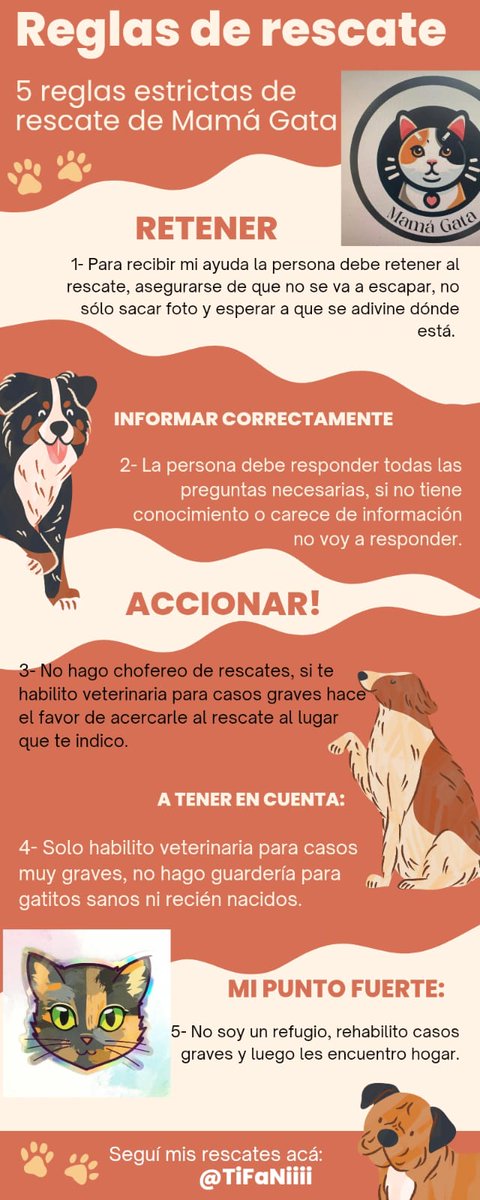 Stephie Bogado Tervit #80547 tweet media