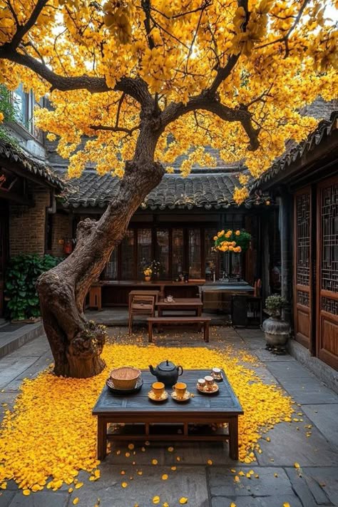 Sherley3388's tweet image. #nature Enjoy the best life time☕️🍷🥧🍮