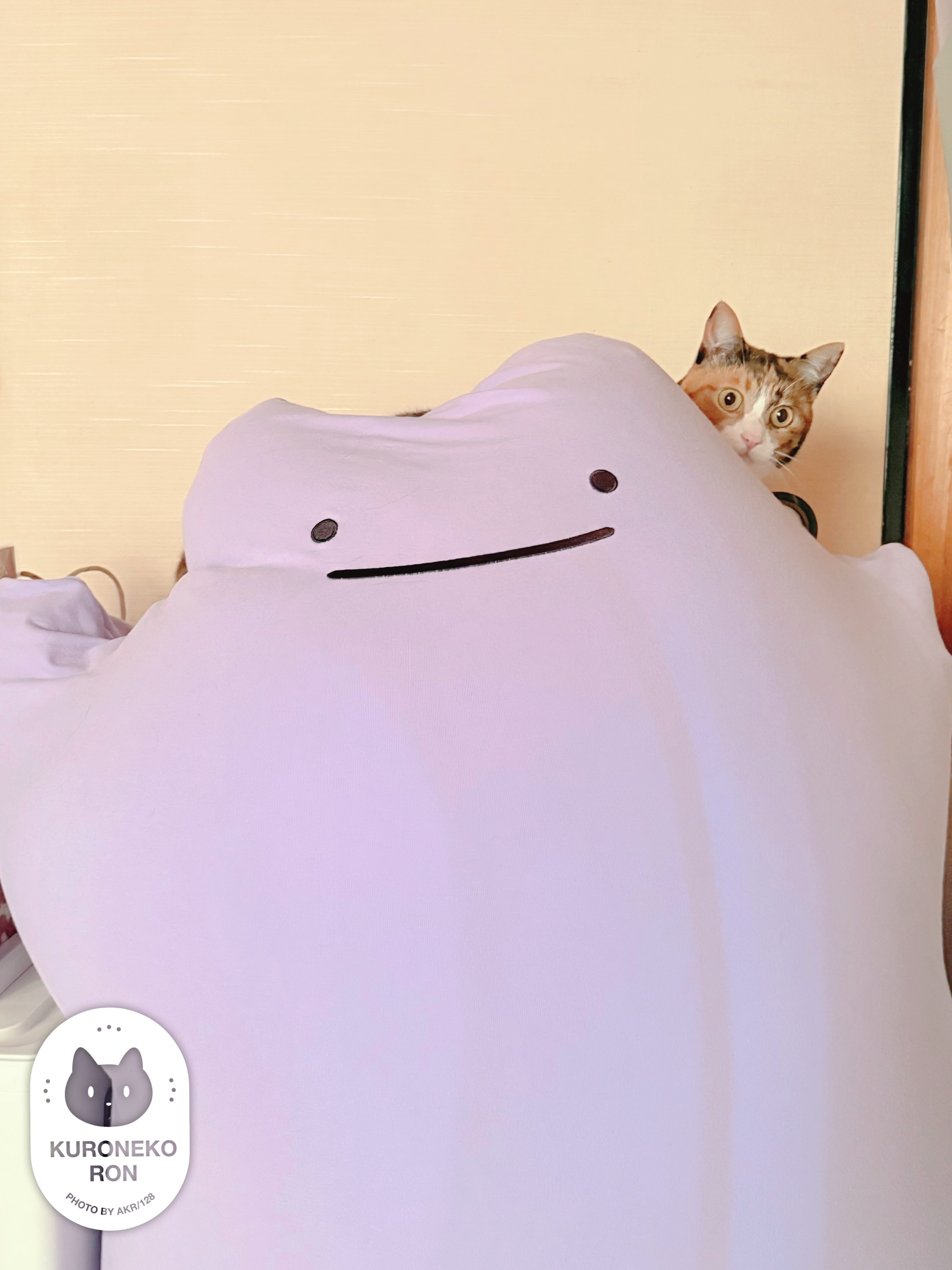 ぽろんさんまとめて AKR｜7巻でたよ on X: 