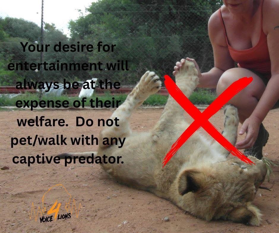 LindaPa60824893's tweet photo. #SayNoToInteraction https://t.co/k4o1fQh7sU