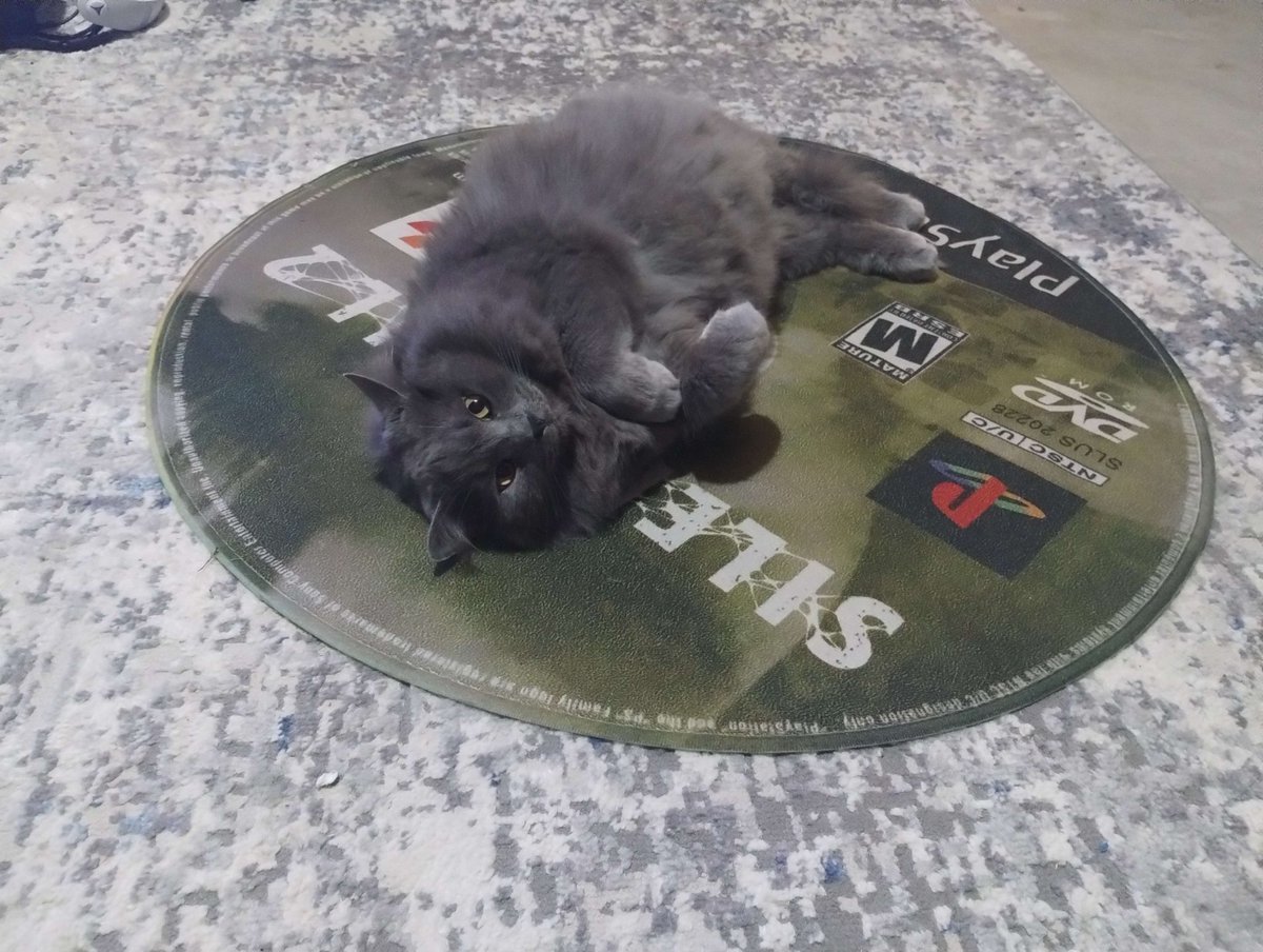 MeatballOfD00M's tweet image. My brother has one of those disc rugs and our fatass cat really likes it