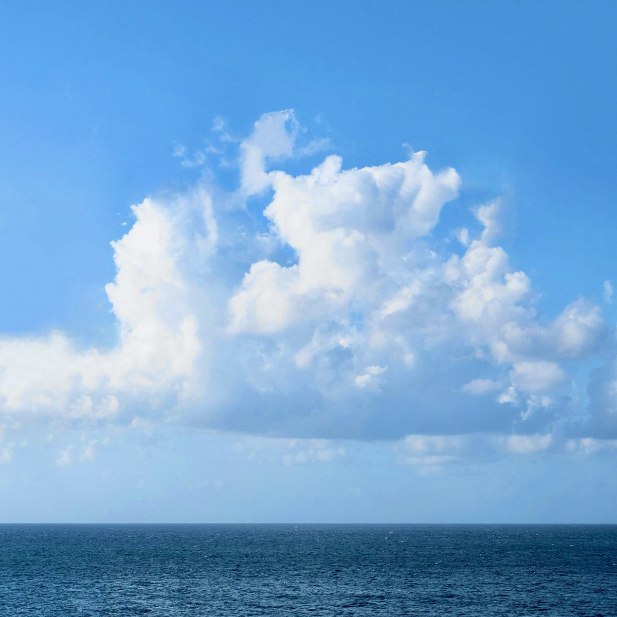 雲がほどけて
海に届く

静かな光のなかで
名前のない風が
肩を撫でていく

いつかの声が
波にまぎれて
かすかに響いた気がした

戻らない時間も
遠くへ行った想いも
この空の青に
少しだけ溶けていく

それでいい
それがいい

#海の記憶
#キリトリセカイ
#詩が好きな人と繋がりたい
#ヒデローのことば