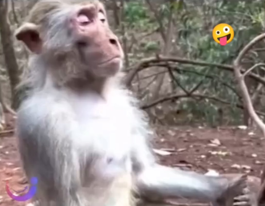 İş yerinde öfkemi kontrol ediyorum. Çünkü paraya ihtiyacım var.