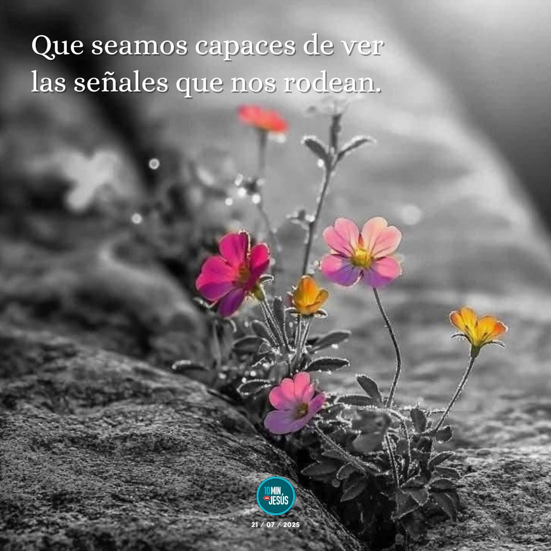 10MinconJesus's tweet image. Que seamos capaces de ver las señales que nos rodean.
#10minutosconJesús