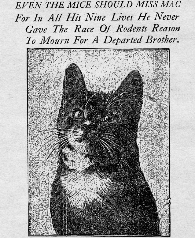 yesterdaysprint's tweet image. The Baltimore Sun, Maryland, October 1, 1911