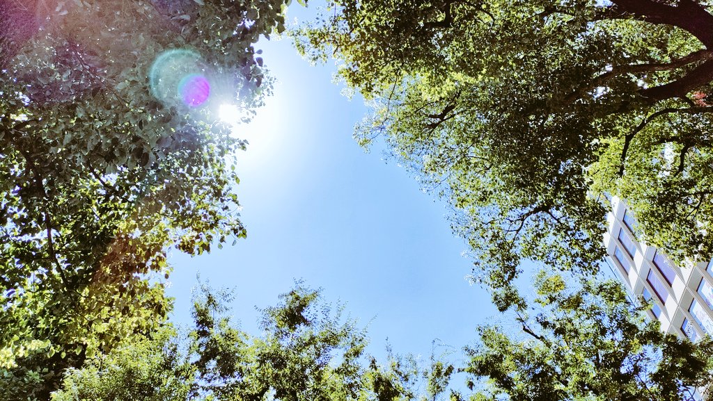 Atman_graha's tweet image. 近頃の夏は、暑すぎて嫌いだよ…💧