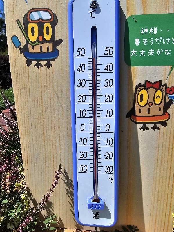 mikumikux10's tweet image. 目を疑った👀