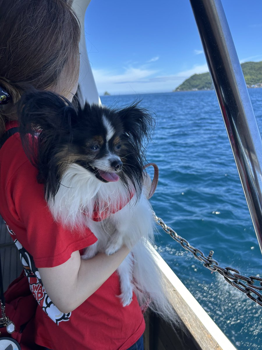 ことし初の旅行〜🐶🛥️🌊
よい海の日を💙