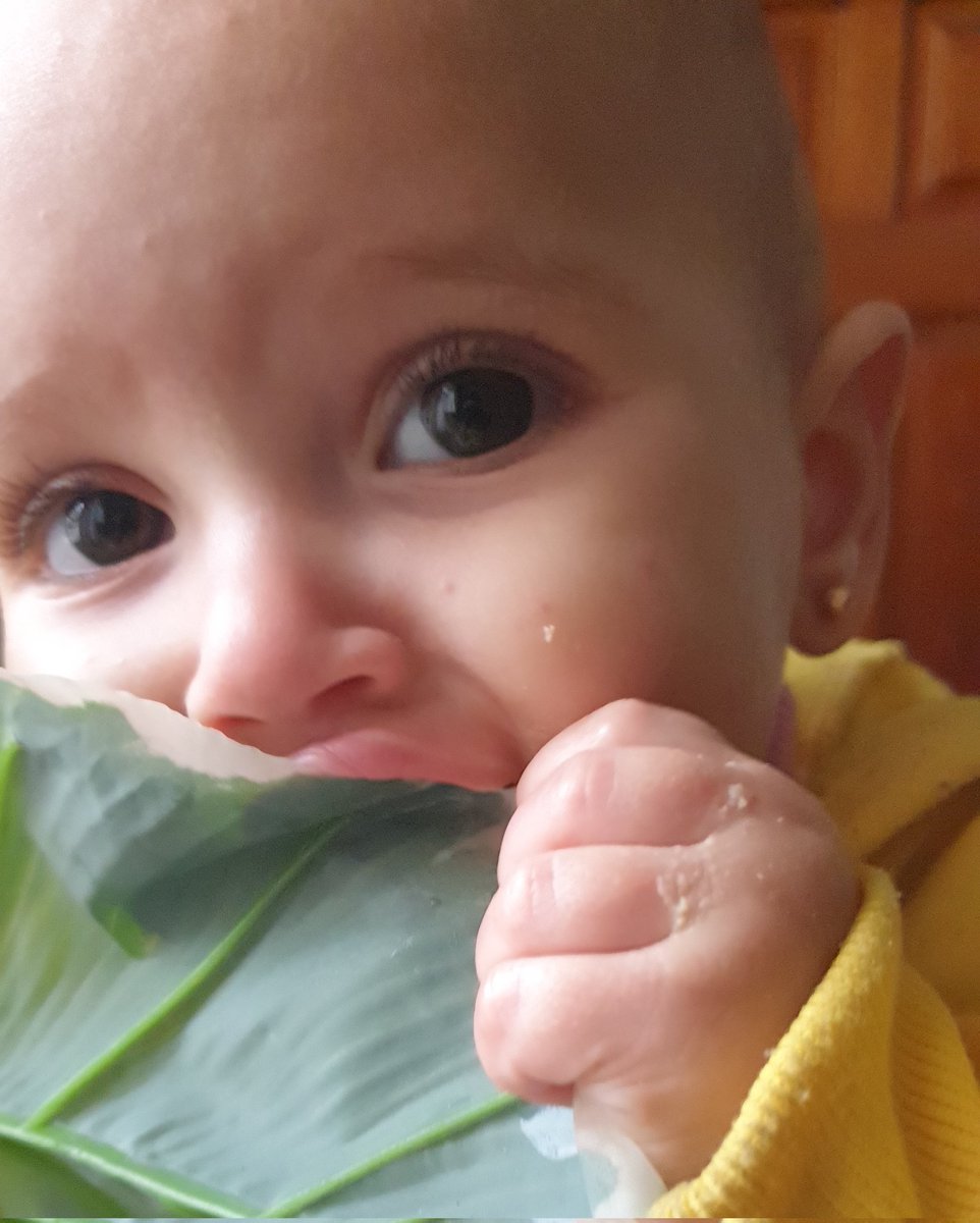 ebraheem3033's tweet image. I'm Ibraheem, a dad from Gaza. My 1-year-old daughter Malak cries from hunger every night.
No food, no safety, no future here. War stole everything, but hope lives on through you.
Help save my family‼️
Donate or share:chuffed.org/project/ibrahe… #GazaStarving #SaveMalak