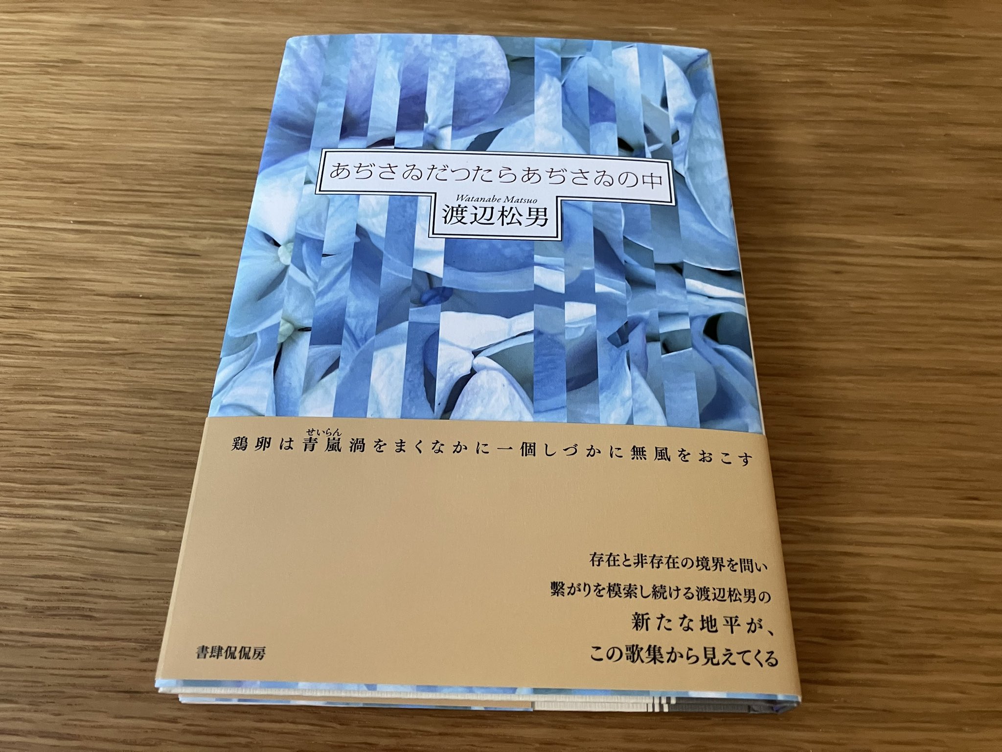 けやき少年 歌集 （かりん叢書） / 渡辺 松男 / 砂子屋書房 Amazon.co.jp: けやき少年: 歌集 (かりん叢書 179) : 渡辺松男: 本