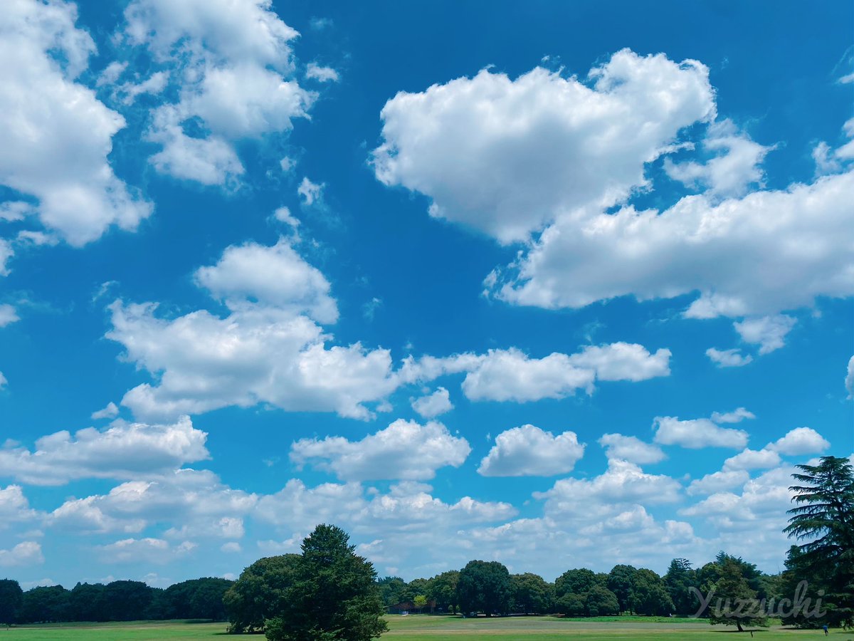 Tsm7Wk's tweet image. いい空でいい雲