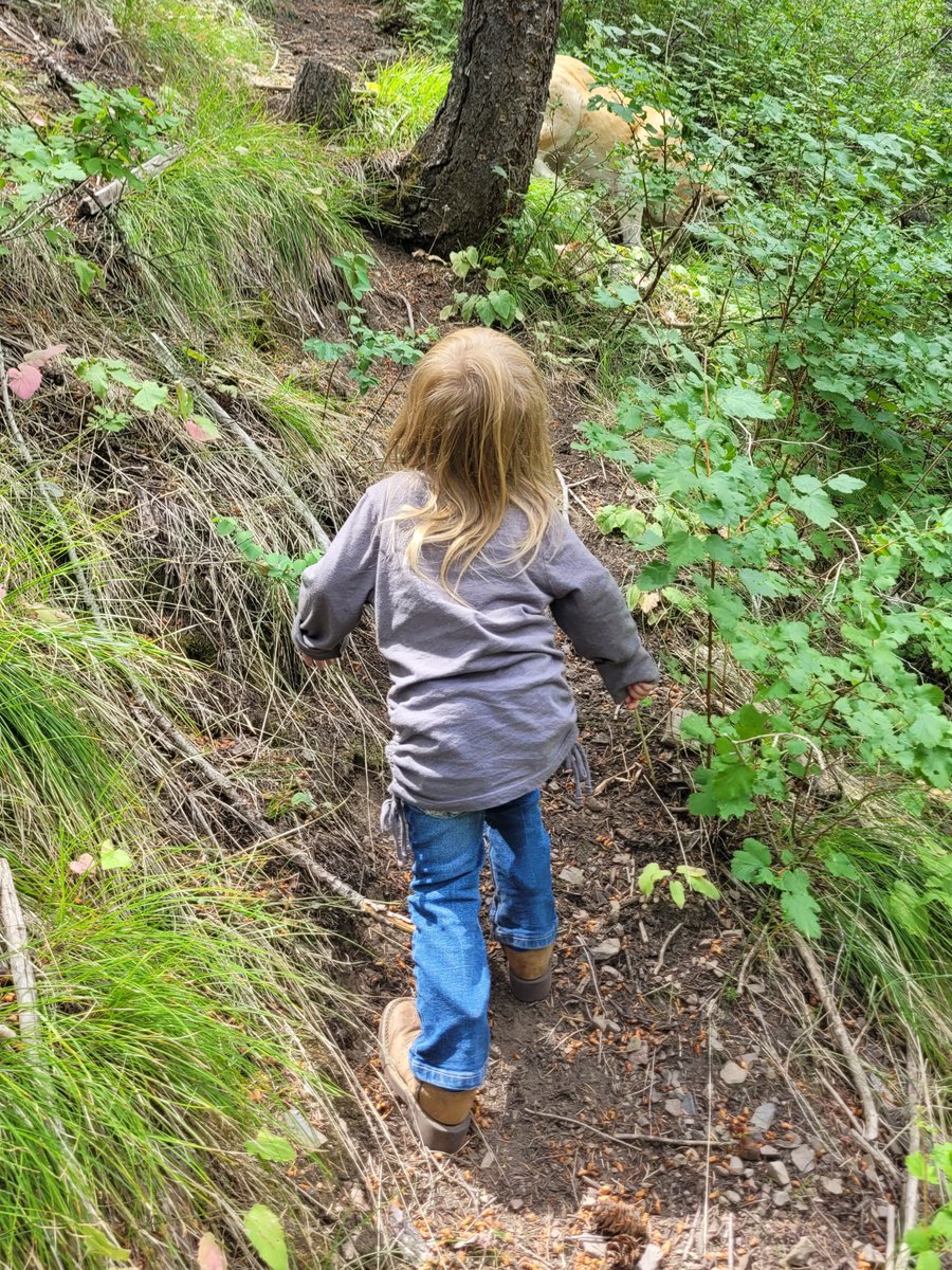 ExtraSaltedNuts's tweet image. Bless her boots, she tried so hard to keep up.
Children have such potential to rise to meet your expectations.