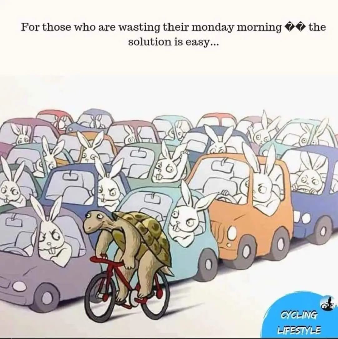 bicyclesbeyond's tweet image. The humble #bicycle 🚲
For those who are wasting their Monday morning, the #solution is easy 😉
Have a great week further #BikeFriends 💚🚴🏼💛🚴🏼♀️🧡🚴🏼♂️ 🙌🏽
