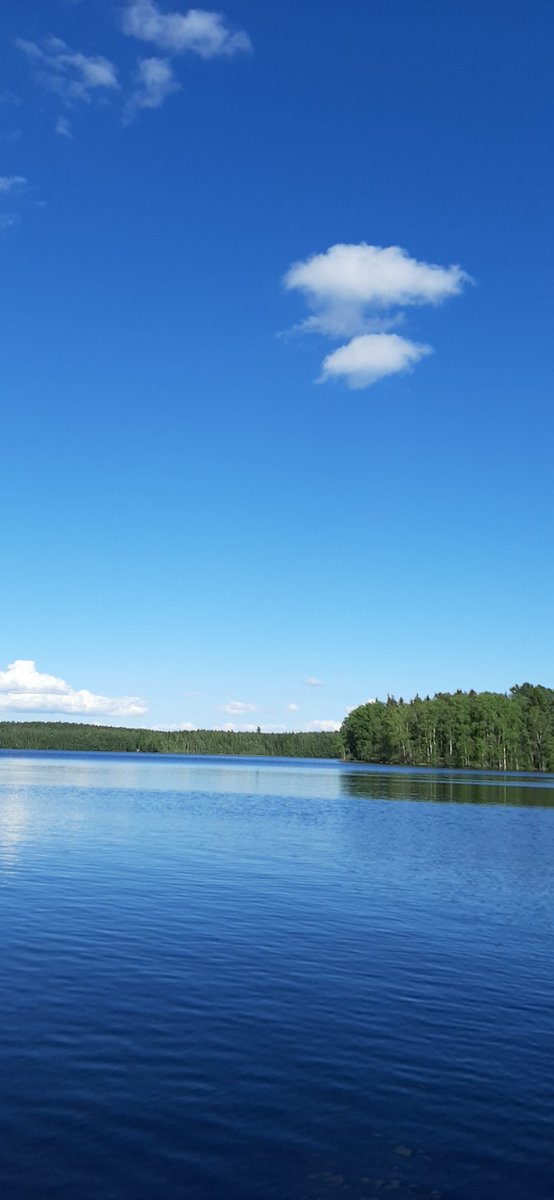 ParnanenSari's tweet image. #ClassicLitMonday
When the wood's light daughter celebrated her wedding
-
the forests dropped their seeds into human hearts
the glittering lakes swam in human eyes
and the white butterflies fluttered ceaselessly by.
The Wood's Light Daughter
Edith Södergran
Transl. David McDuff