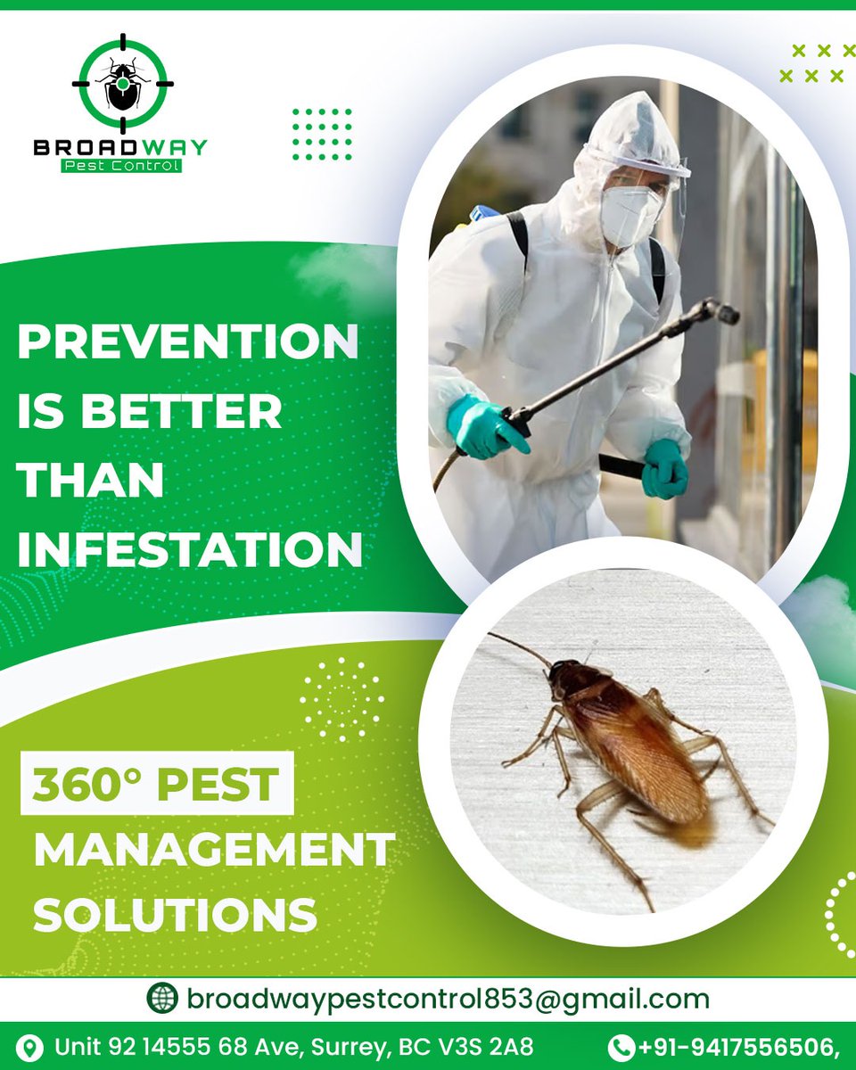 BroadPest93579's tweet image. &quot;Broadway Pest Control offers proactive solutions — so you never have to deal with infestations again.
Monthly, quarterly &amp;amp; annual service plans available.&quot;

☎+1 236-668-4372
🌐 broadwaypestcontrol.ca

#PreventPests #PestManagementExperts #BroadwayPestControl
