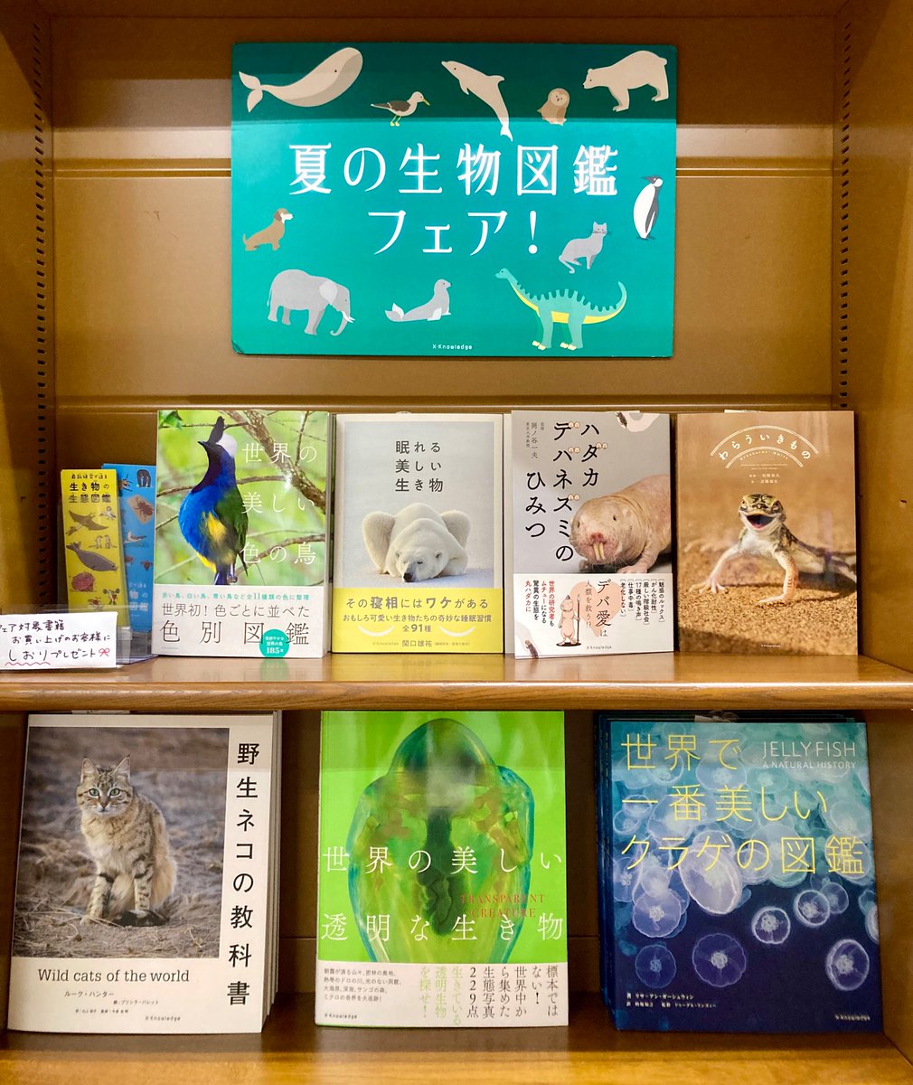 junkunamba's tweet image. 【理工書】
夏の生物図鑑フェア開催中🪼
夏休みのおともに図鑑を一冊いかがでしょうか?
担当おすすめは
涼やかな見た目が夏にぴったりな『世界の美しい透明な生き物』と、表情豊かな動物たちに癒されること間違いなしの『わらういきもの』です😸
#エクスナレッジ