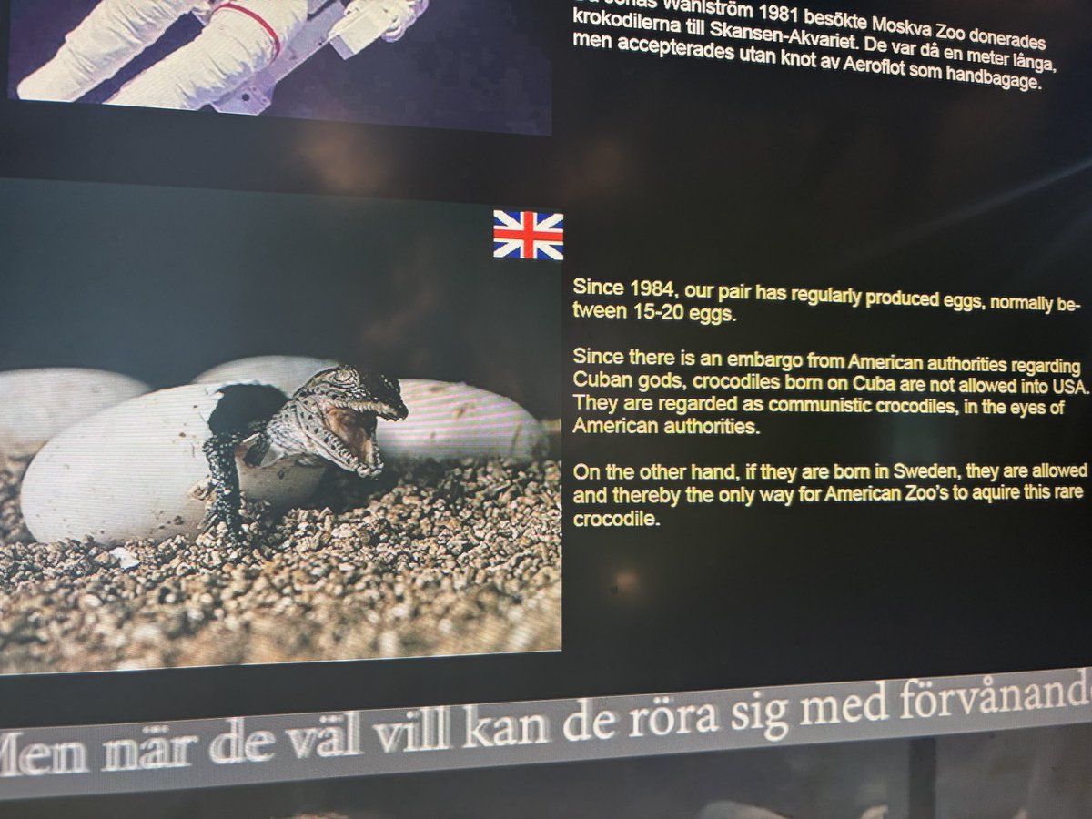 PatrickAnderso_'s tweet image. Sweden’s illicit Cuban crocodile breeding program
