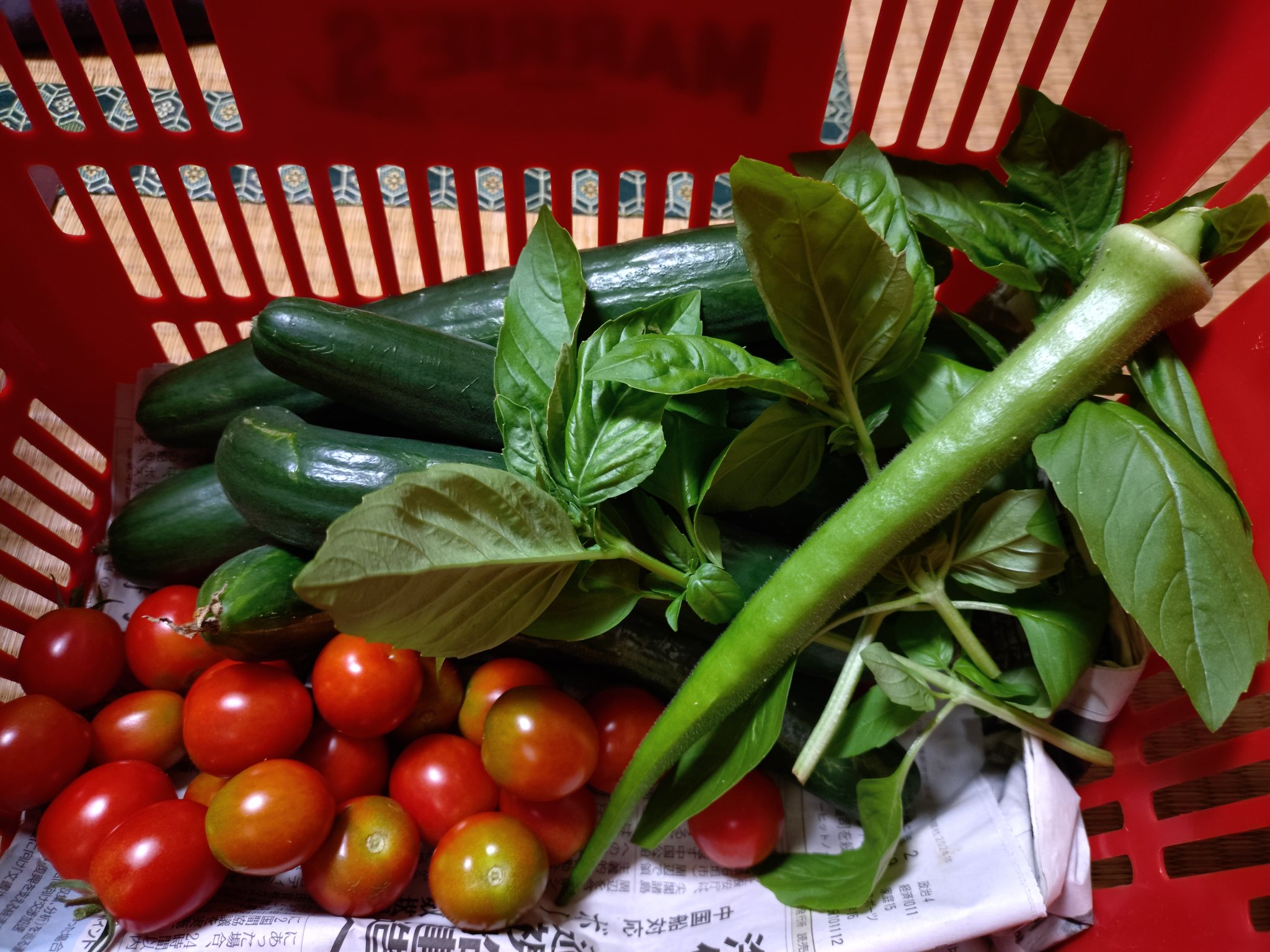 ★キュウリA品5kg、ミニトマト3kg、オクラ2kg★ 野菜セット ミニトマト きゅうり オクラ - メルカリ