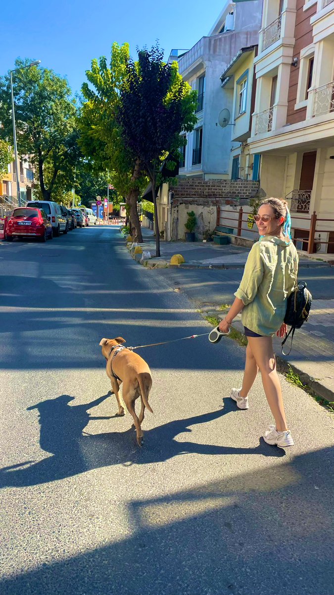 Pazartesi günlerim, ne zaman böyleli pazar günlerimi hayal etmekle geçmeyi bırakacak?