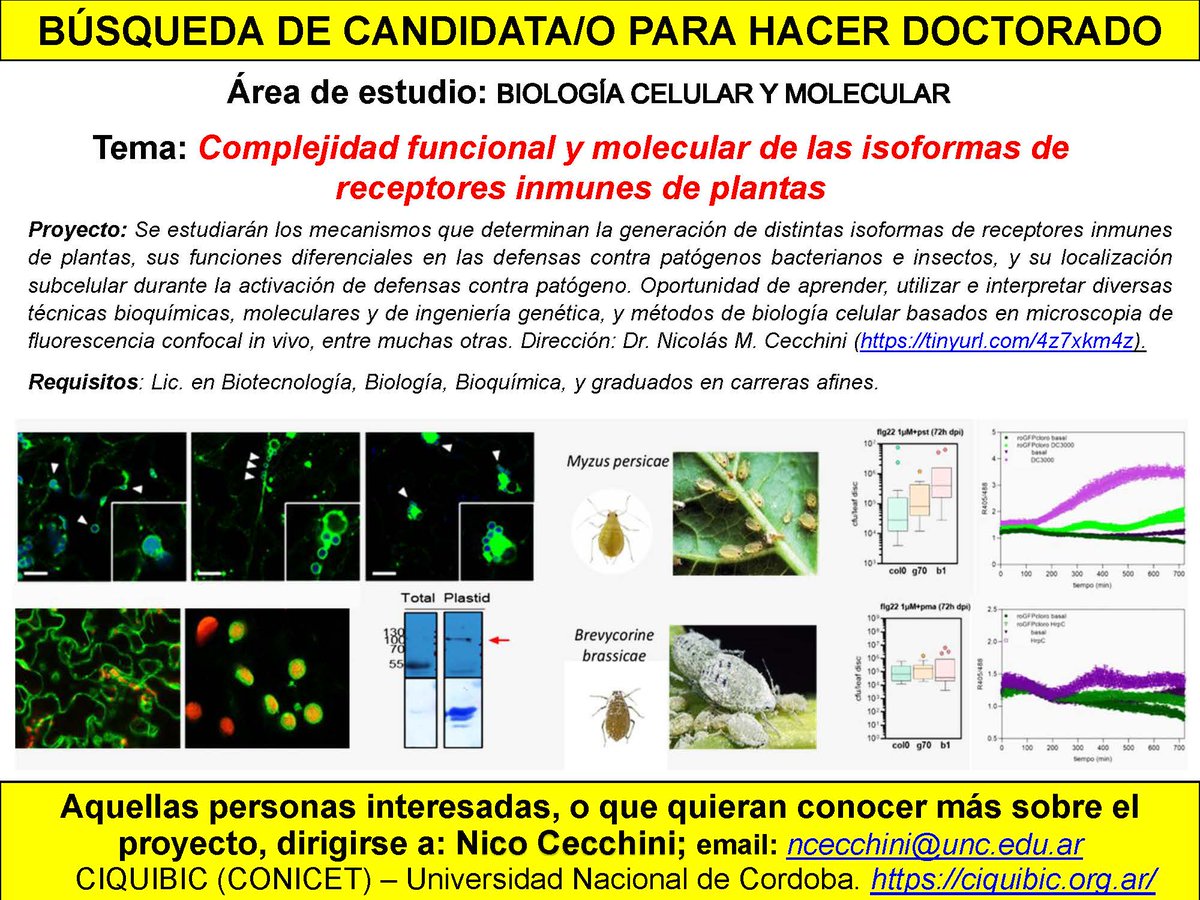 nico cecchini (@nicoscecchini) on Twitter photo 