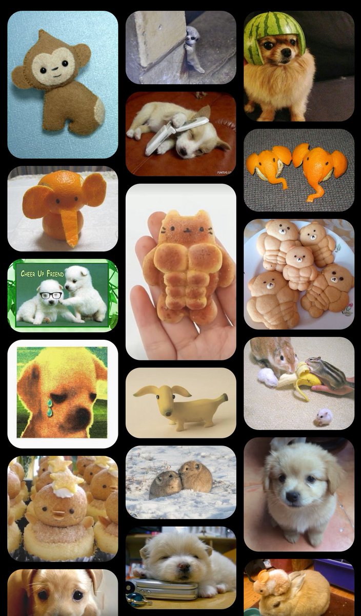 1002__1's tweet image. creating a mood board for when I’m 47 and experiencing symptoms of menopause
