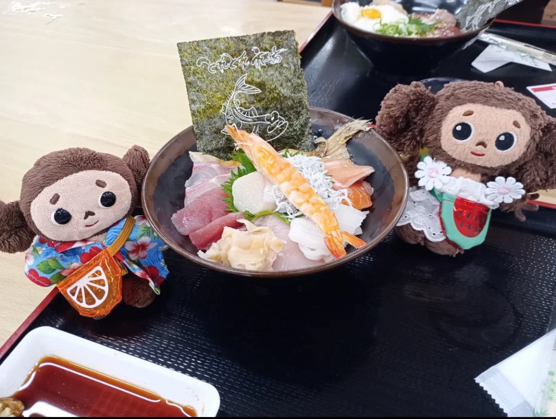 SolChebu's tweet image. When in Japan, $Chebu goes full foodie mode at Tore Tore Ichiba 🇯🇵🐾🍣