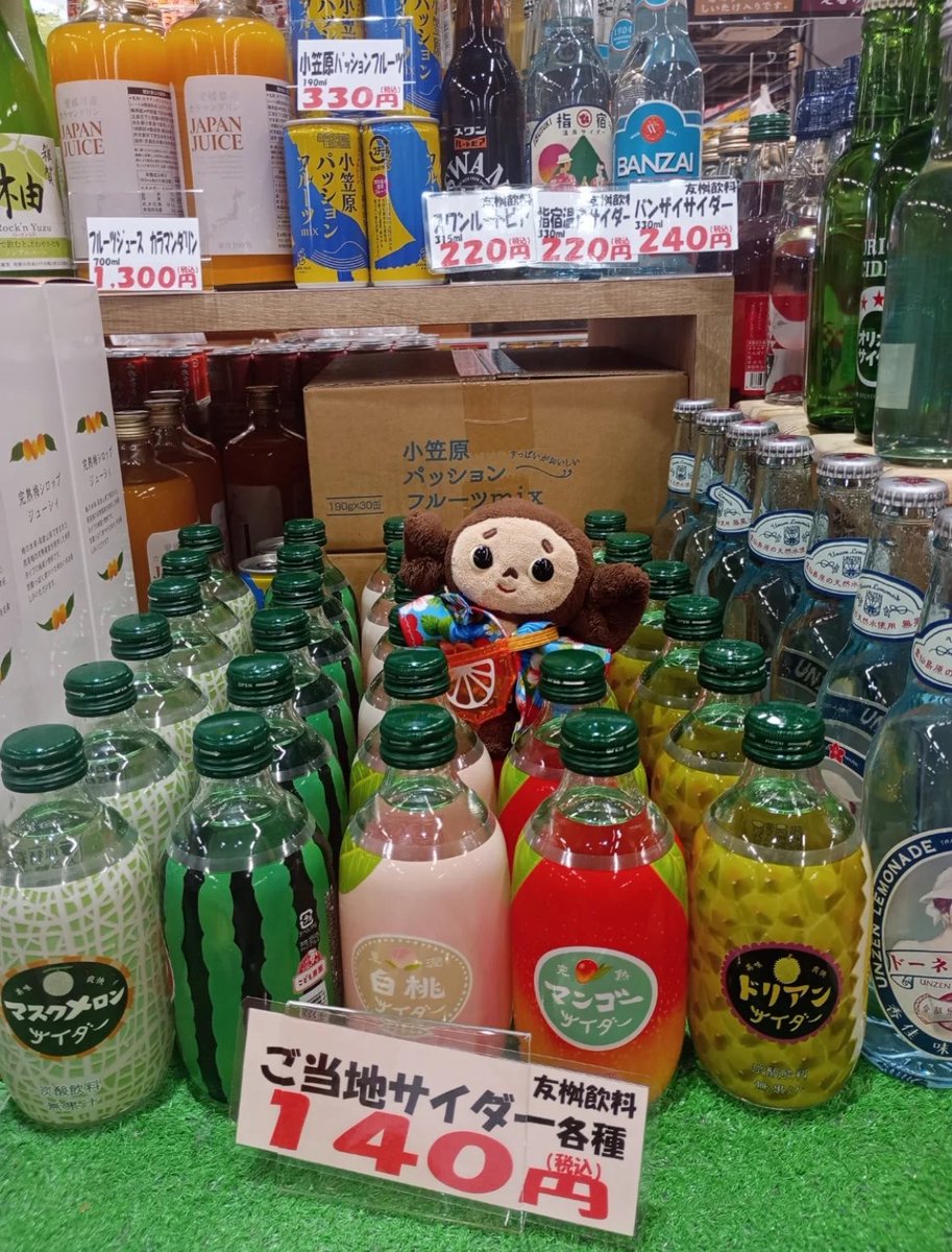 SolChebu's tweet image. When in Japan, $Chebu goes full foodie mode at Tore Tore Ichiba 🇯🇵🐾🍣