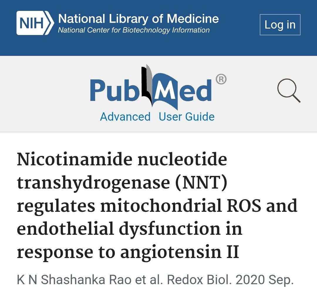 AKoutnik's tweet image. 🐁 New Mouse (WITHOUT NNT) Study Suggest Ketogenic Diet Induced Oxidative Stress in Male but NOT Female 💥
🤔Interesting this doesn't seem to be the case in humans?
🔬Insight: 10 years ago I found that mouse models lacking NNT (key enzyme balancing mitochondrial ROS and…